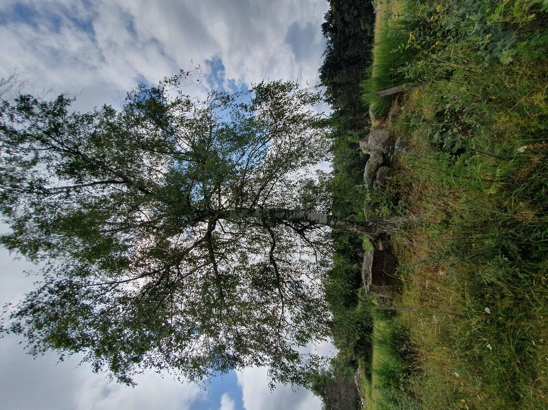 Les ânes du petit château du Villard景点图片