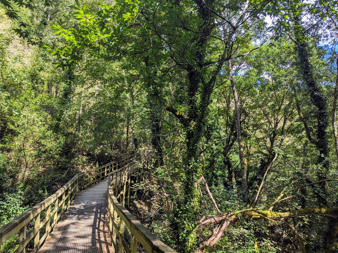 Pasarelas Del Río Mao - Ribeira Sacra景点图片