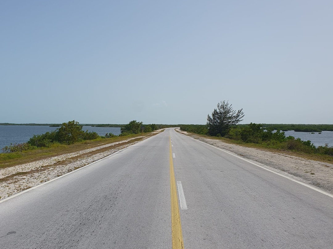 Taxis Clavijo-哈瓦那必去景点