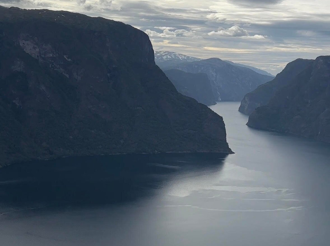 Guided Fjord Adventures