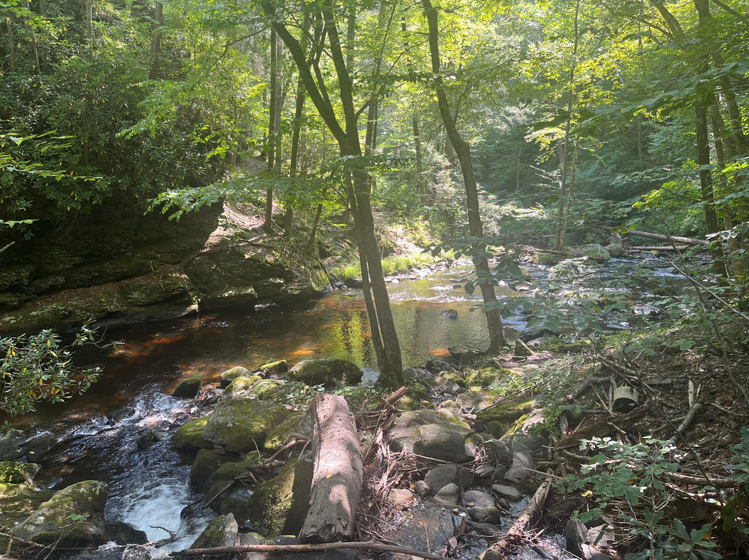 Bushkill Falls景点图片