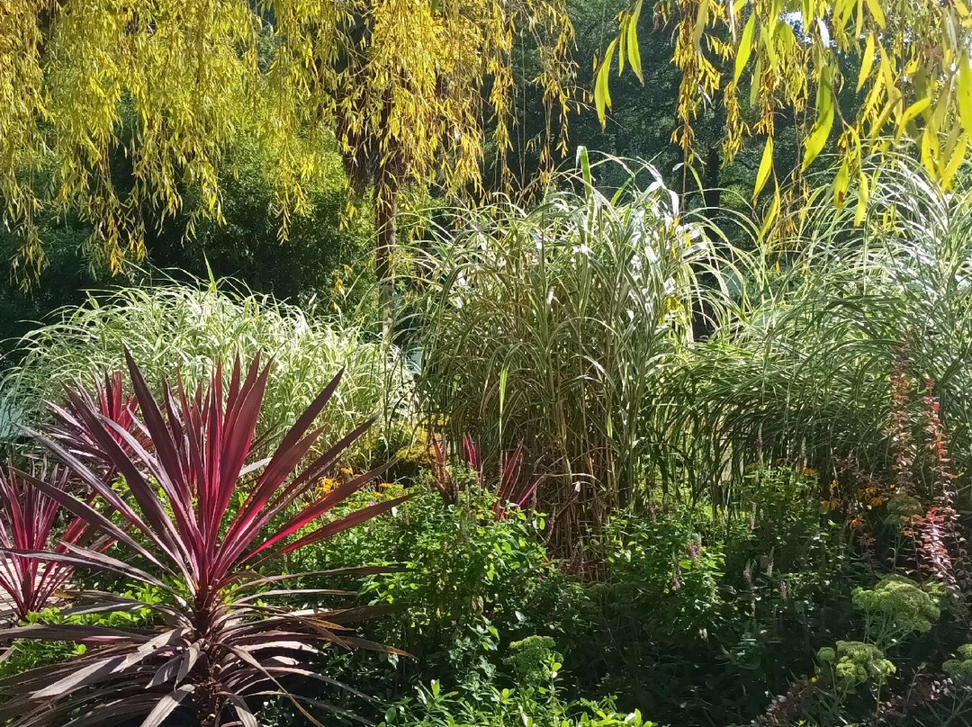 Jardin Des Fontaines Pétrifiantes景点图片