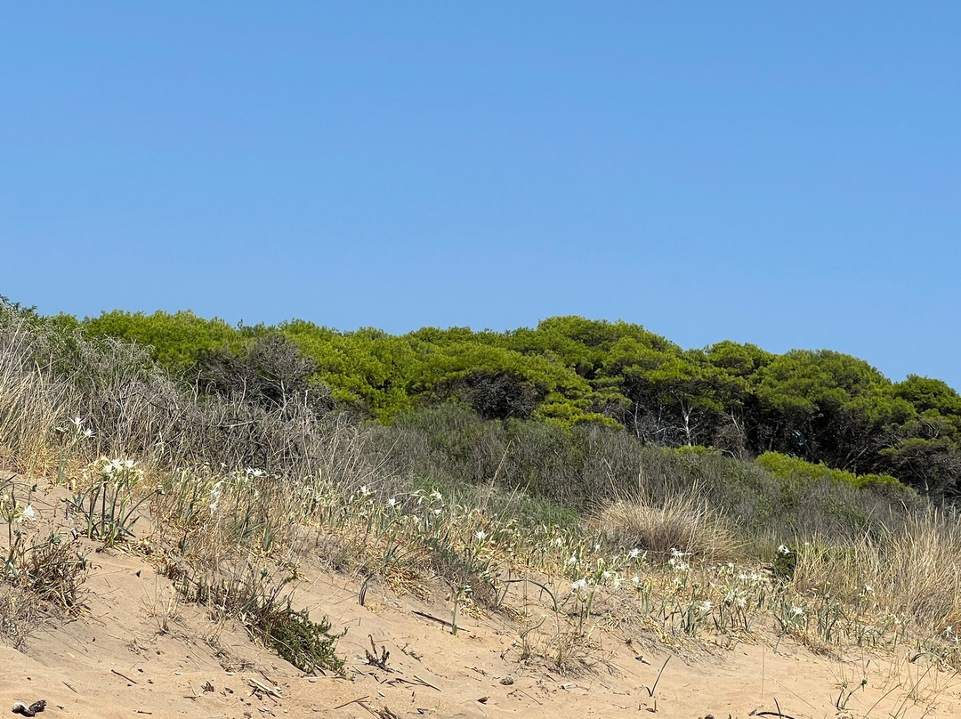 Spiaggia dei Gigli-Isola di Capo Rizzuto必去景点