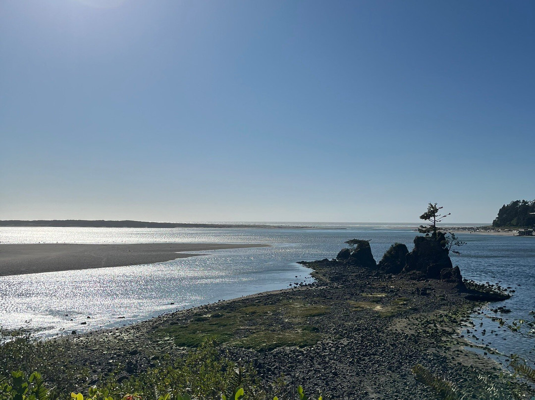 Baywood Shores Bed & Breakfast主图