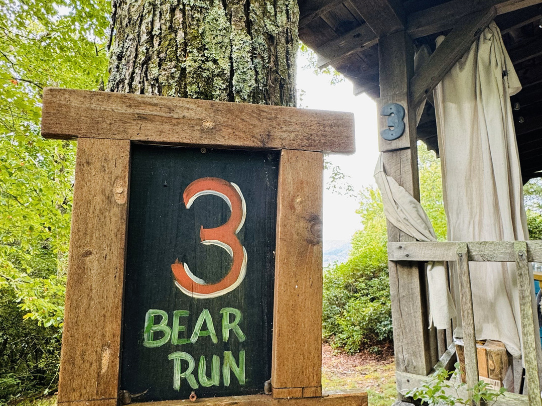 Fiddler's Roost Bed & Breakfast Cabins主图