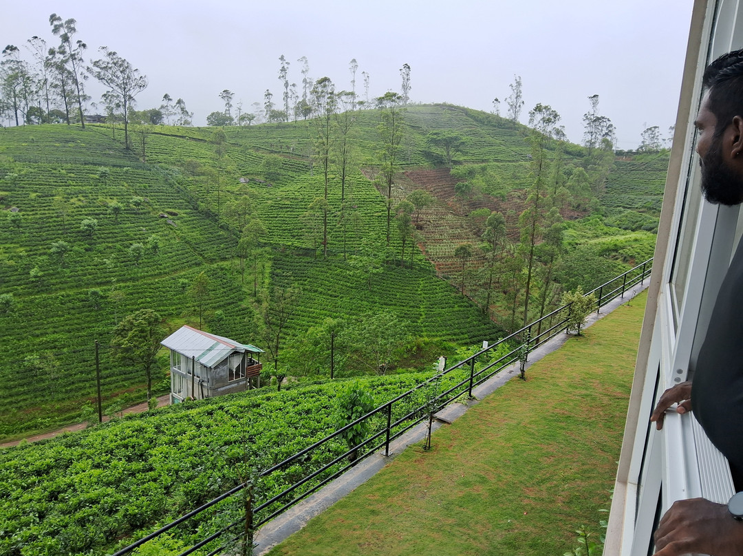 Harrington Heritage主图