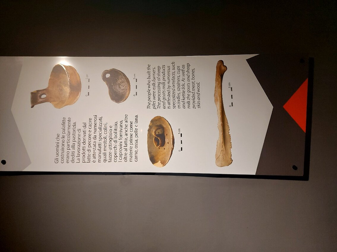 Museo Speleo-Archeologico景点图片