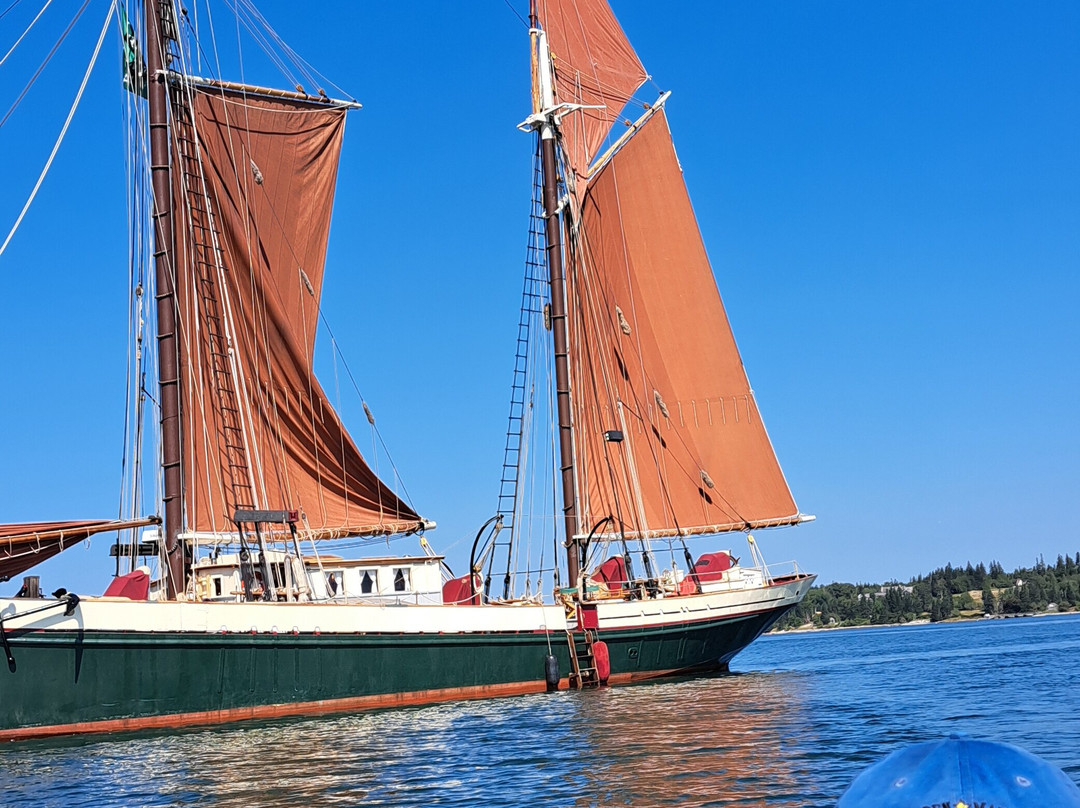 Windjammer Angelique景点图片
