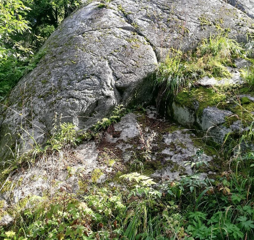 Ukko-Koli Hill景点图片
