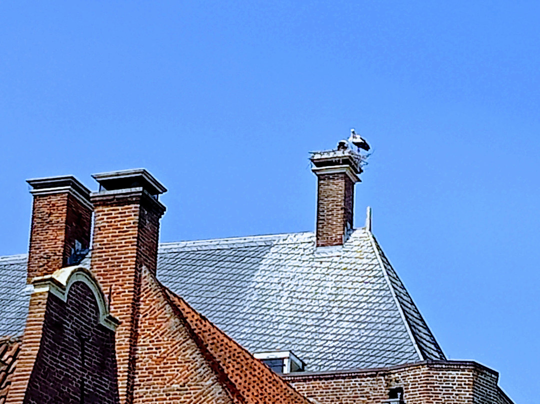 Arent Thoe Boecophuis of Stadskasteel Elburg景点图片