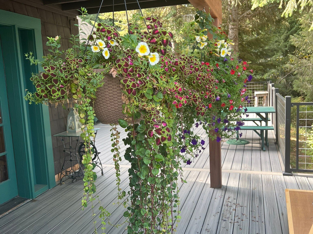 The Historic Northern Hotel主图