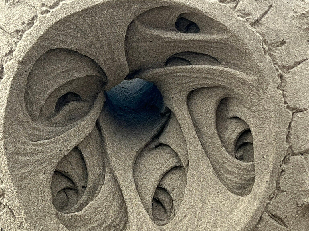 Seaside Beach Oregon景点图片