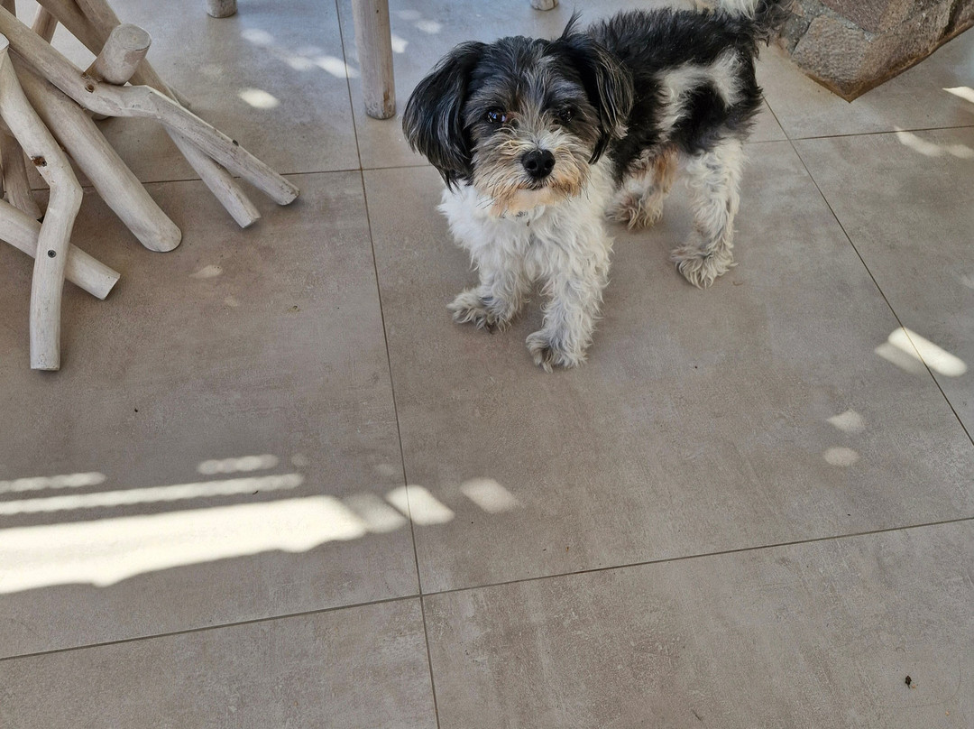 Milo Milo Suites & Family Houses主图