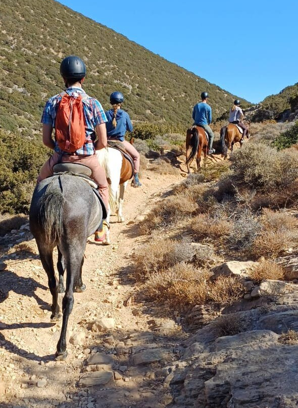 Sifnos Horseriding景点图片