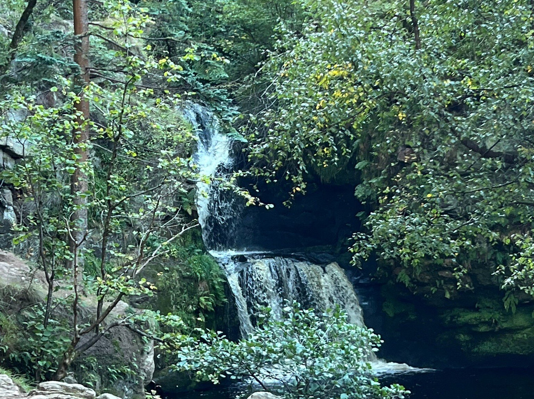 The Linn Falls-阿伯劳尔必去景点