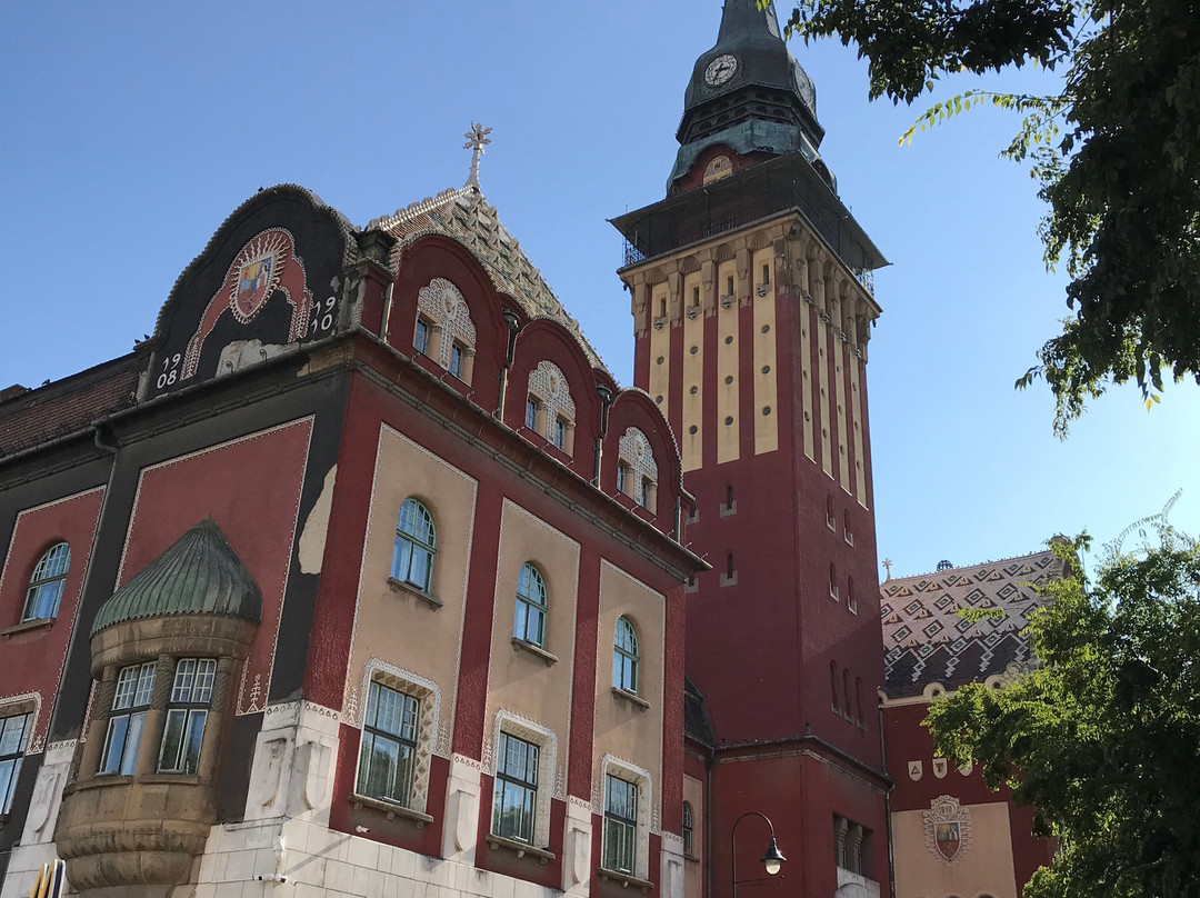 City Hall (Gradska kuca)景点图片