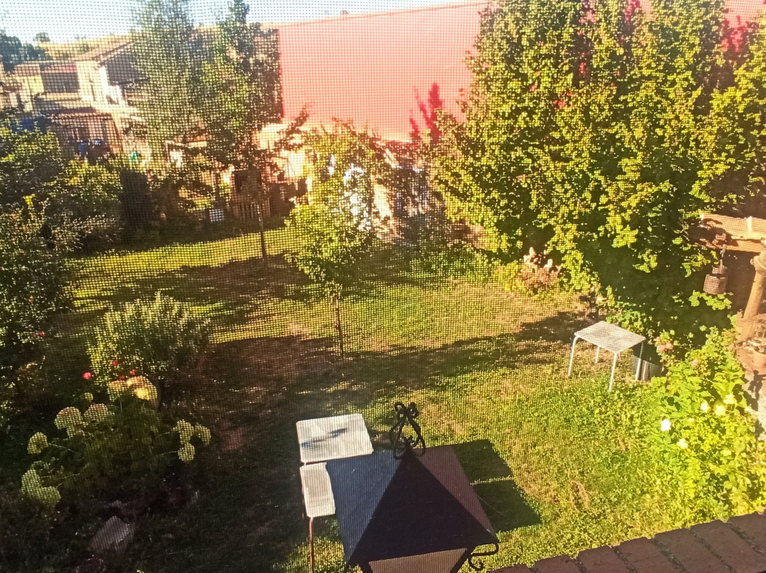 La Rosa de los Tiempos主图