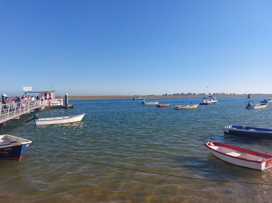 Praia da Terra Estreita景点图片