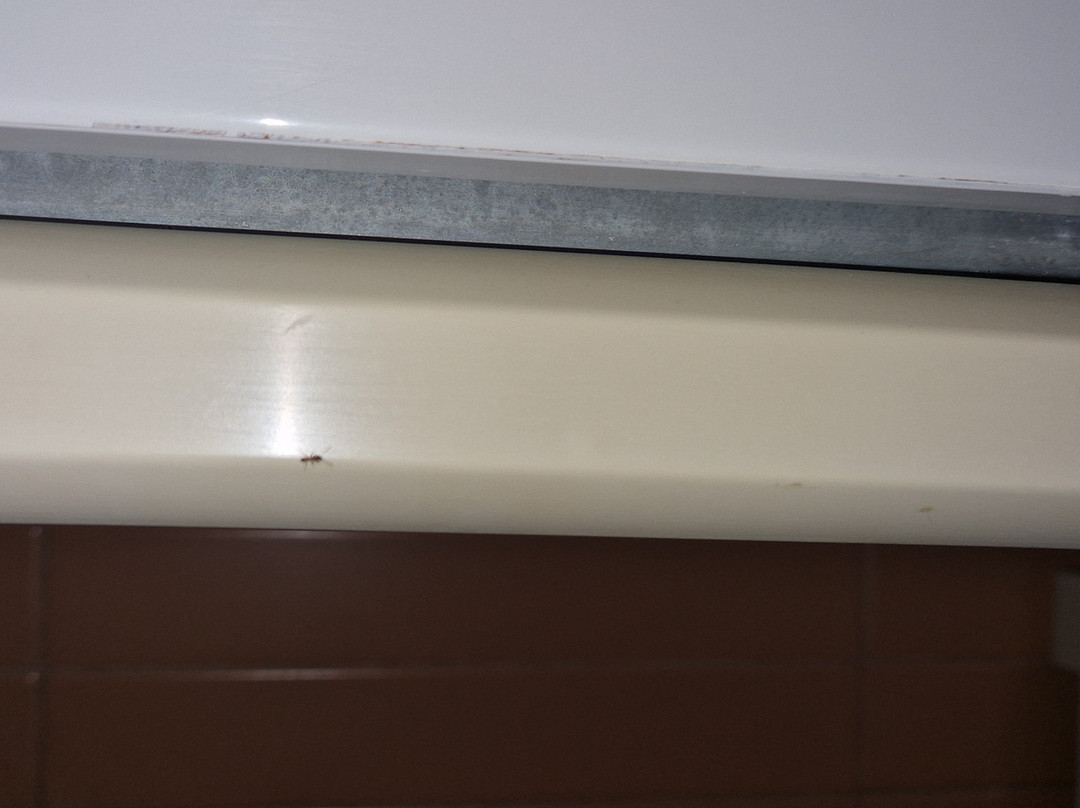 Muthu Clube Praia Da Oura主图