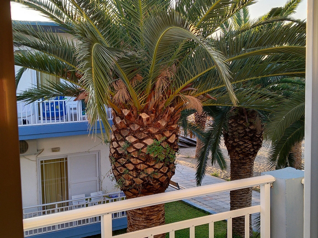 Olympion Beach主图