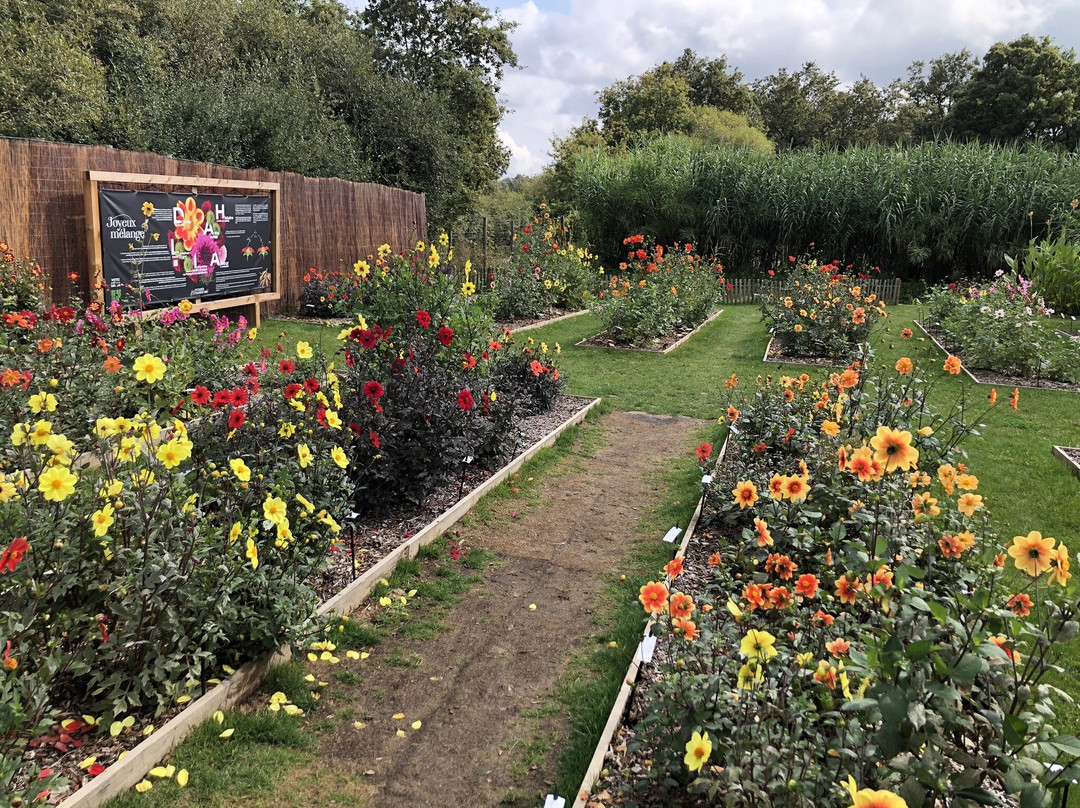Le Potager Extraordinaire景点图片