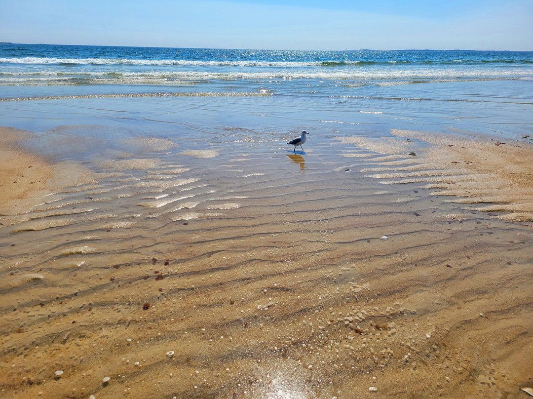 The Holiday House Inn主图