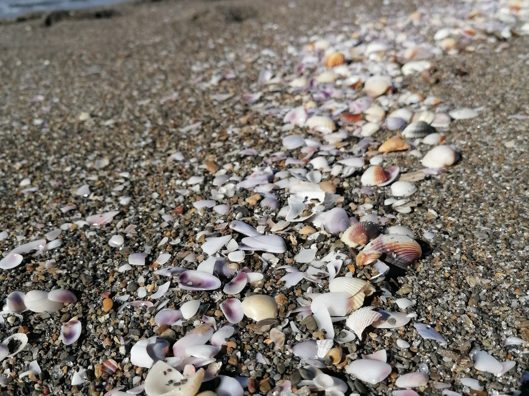 Spiaggia di Macchiatonda-Capalbio必去景点