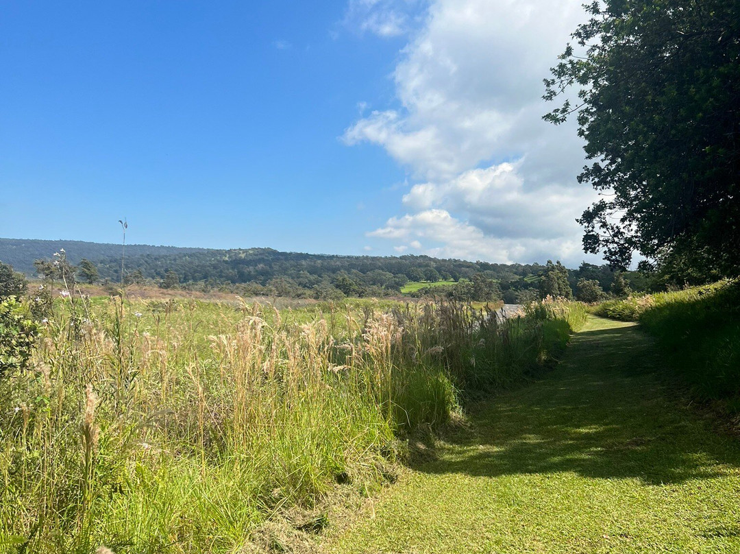 Hawai'i Volcanoes National Park Kahuku Unit-纳勒胡必去景点