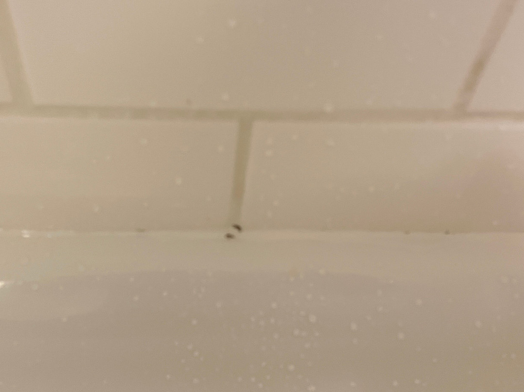 Fairfield by Marriott Inn & Suites Wilkes-Barre Scranton主图