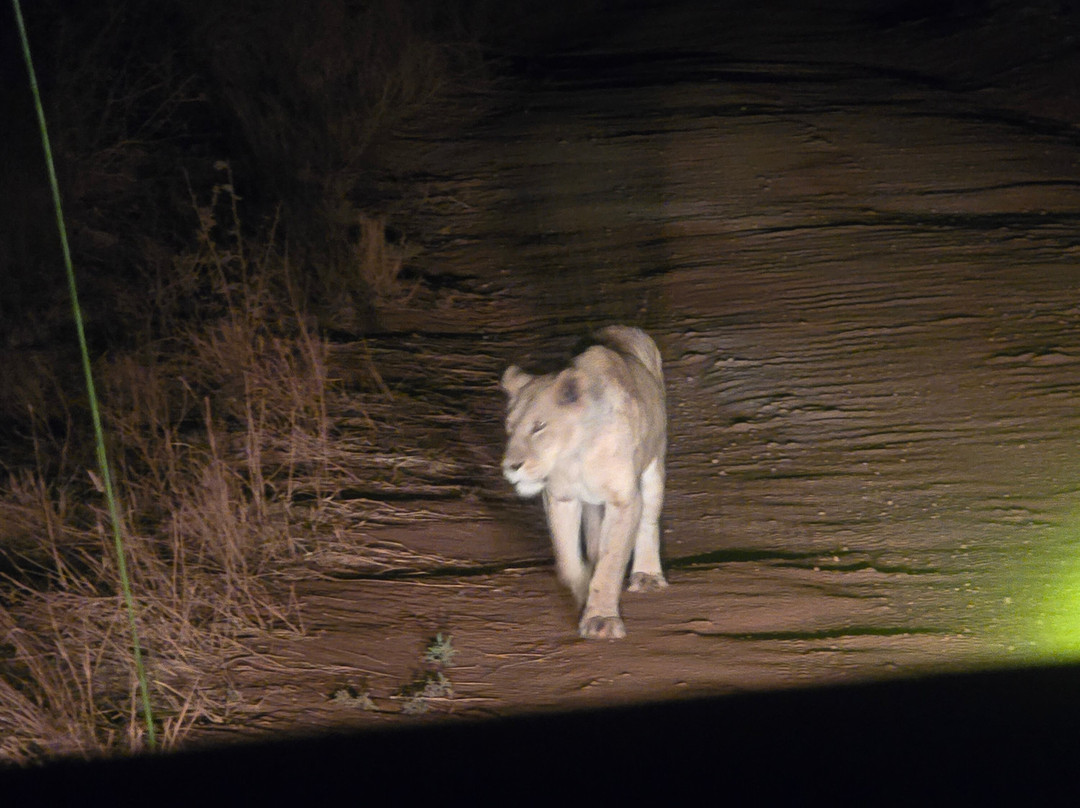 Taita Hills Wildlife Sanctuary景点图片