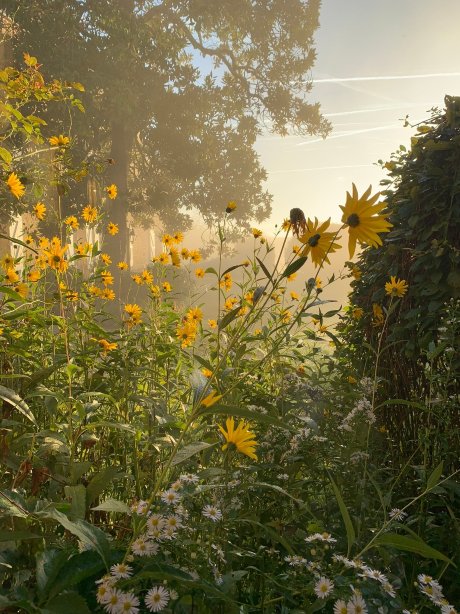 布鲁尼庄园酒店-官方