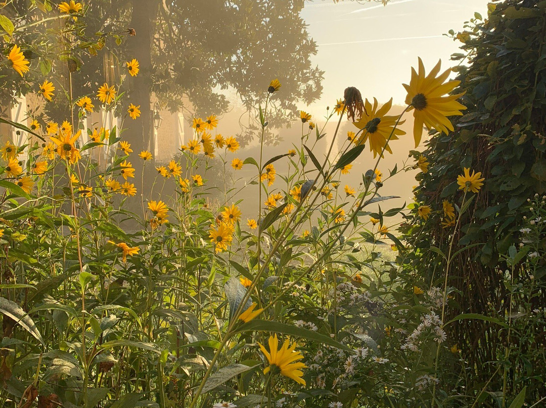 Manoir de la Brunie主图