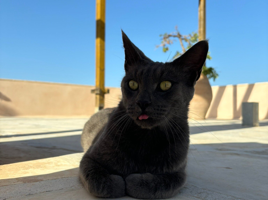 Agia Irini Convent-Agía Eiríni必去景点