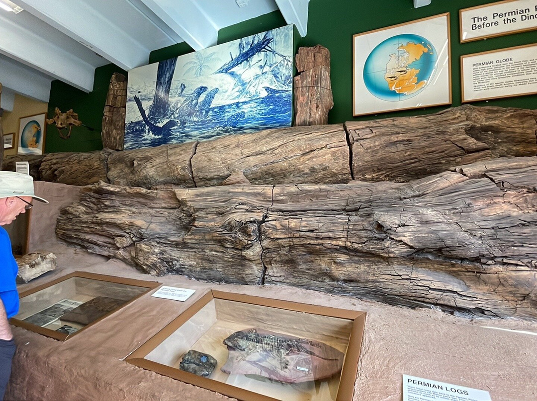 The Dinosaur Museum-布兰丁必去景点