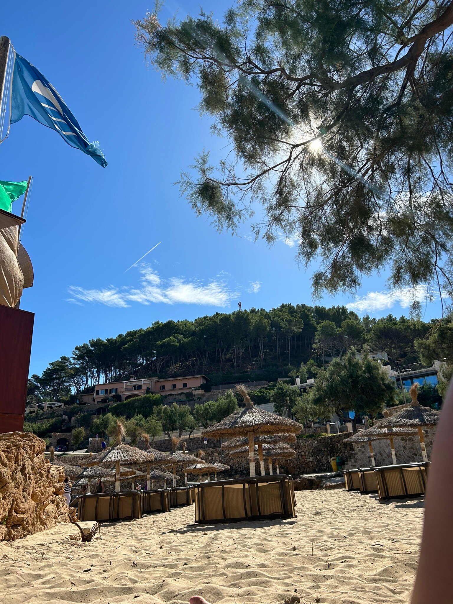 Hostal Los Pinos-官方