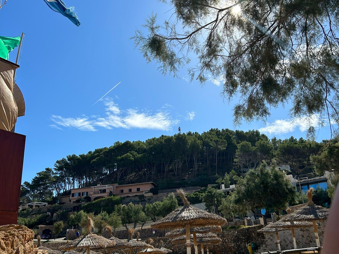 Hostal Los Pinos主图