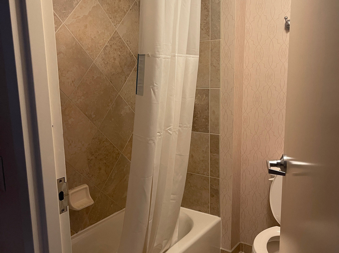 华盛顿杜勒斯国际机场汉普顿套房酒店主图