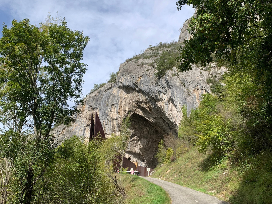 Grotte de Niaux-Niaux必去景点
