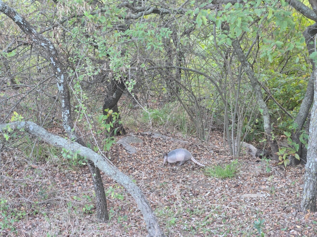 Fort Richardson State Park and Historic Site景点图片
