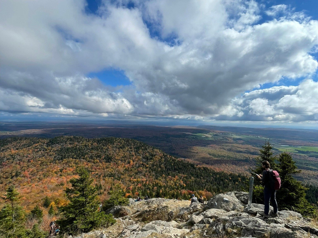 Parc Regional du Mont Ham-Ham-Sud必去景点