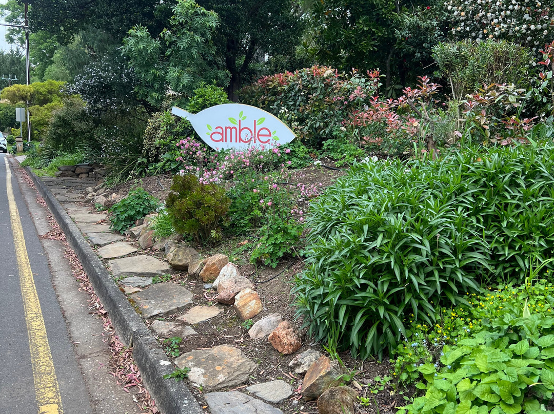 Amble at Hahndorf主图