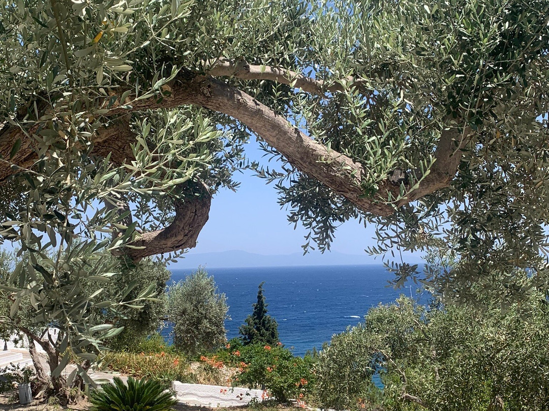 Gregory Studios主图