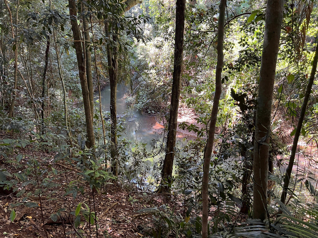 Malanda Falls-马兰达必去景点