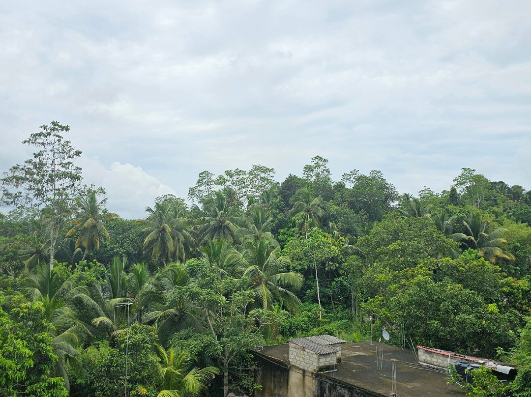 The Halcyon Galle主图