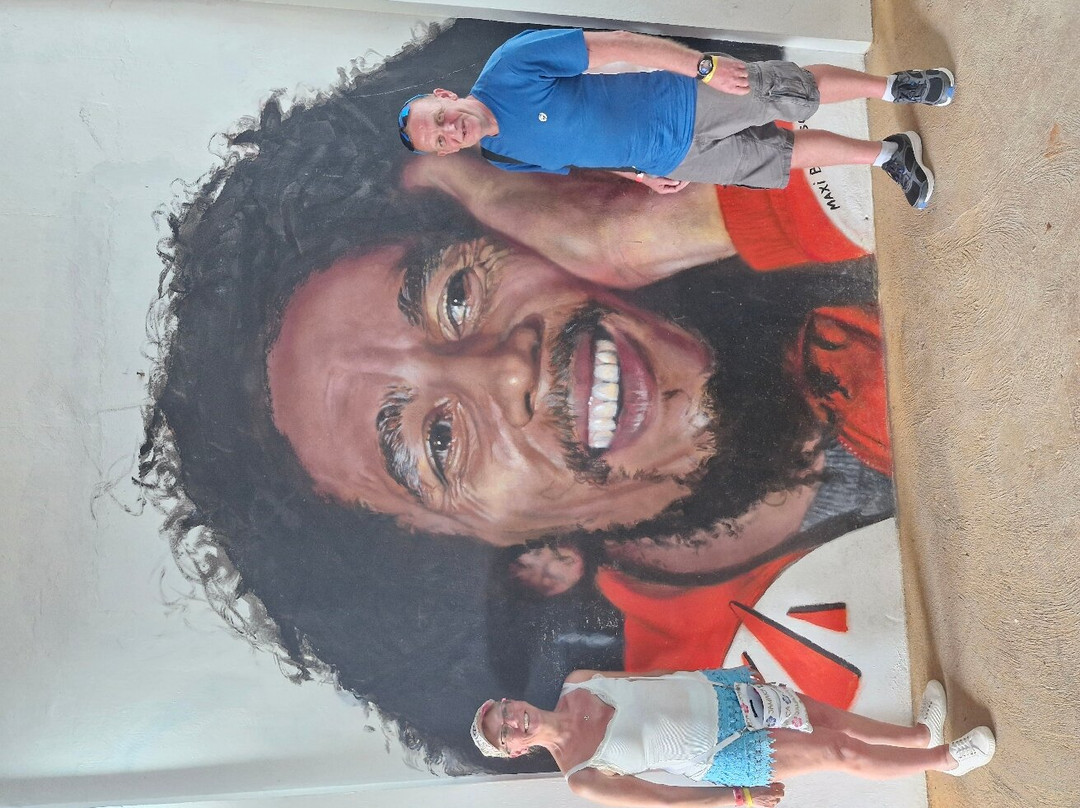 Sun Vibes Tours and Transfers-内格里尔必去景点