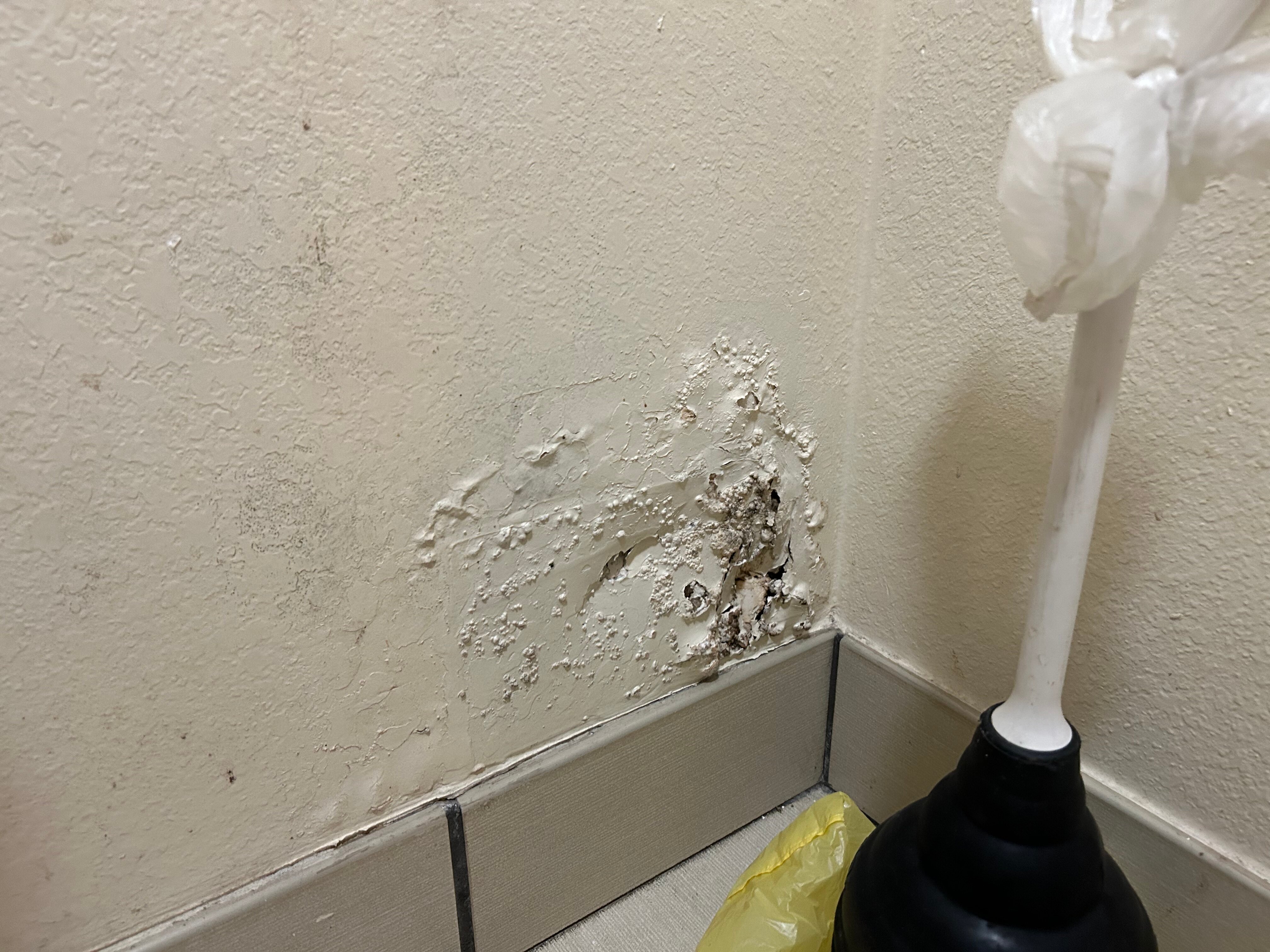 Red Roof Inn Tifton-浴室