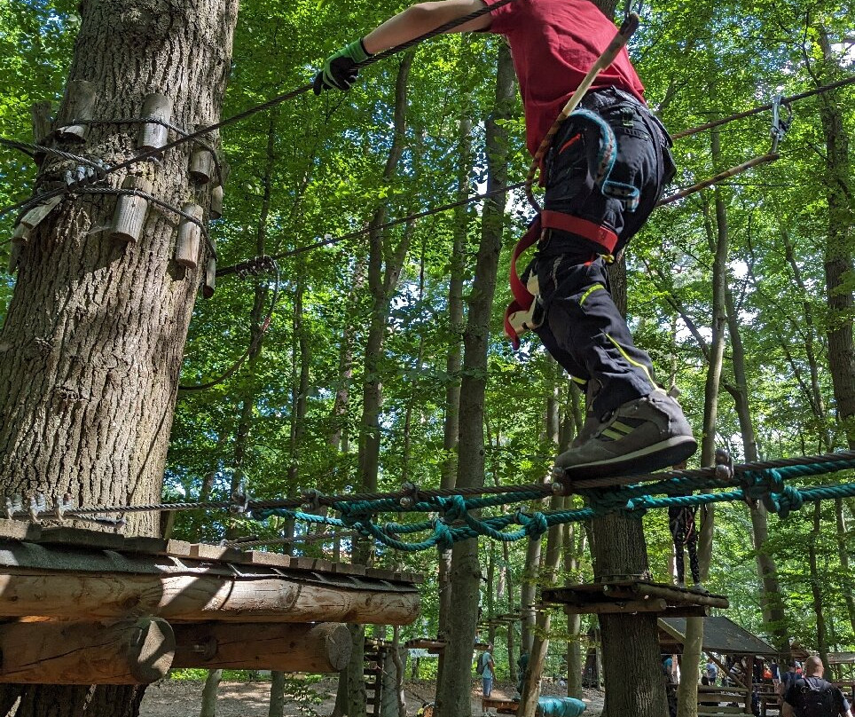 Kletterwald Kuhlungsborn景点图片