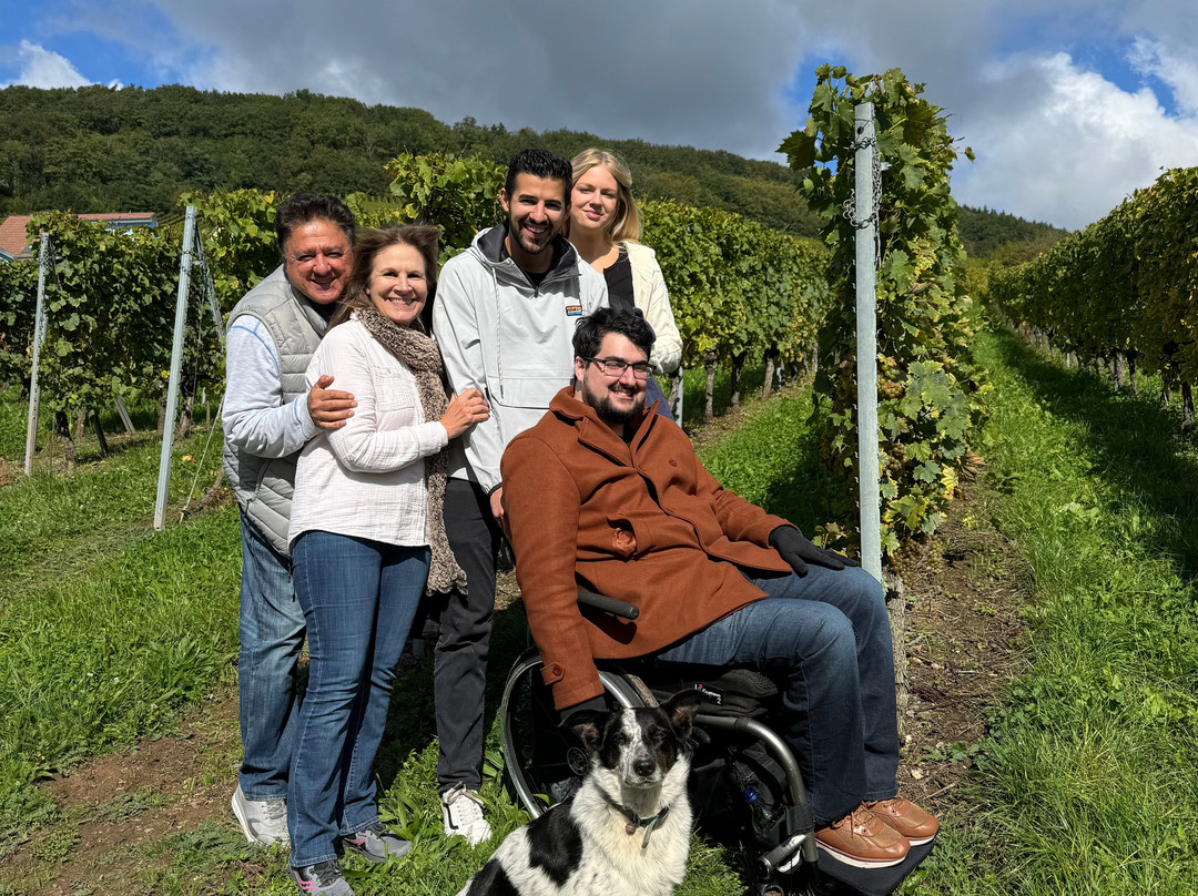 Domaine Bores Marie-claire Et Pierre景点图片
