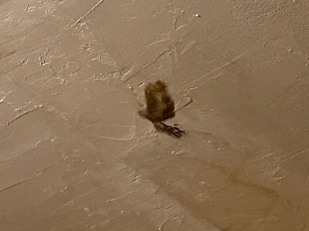 Fairview Bed and Breakfast Estate主图