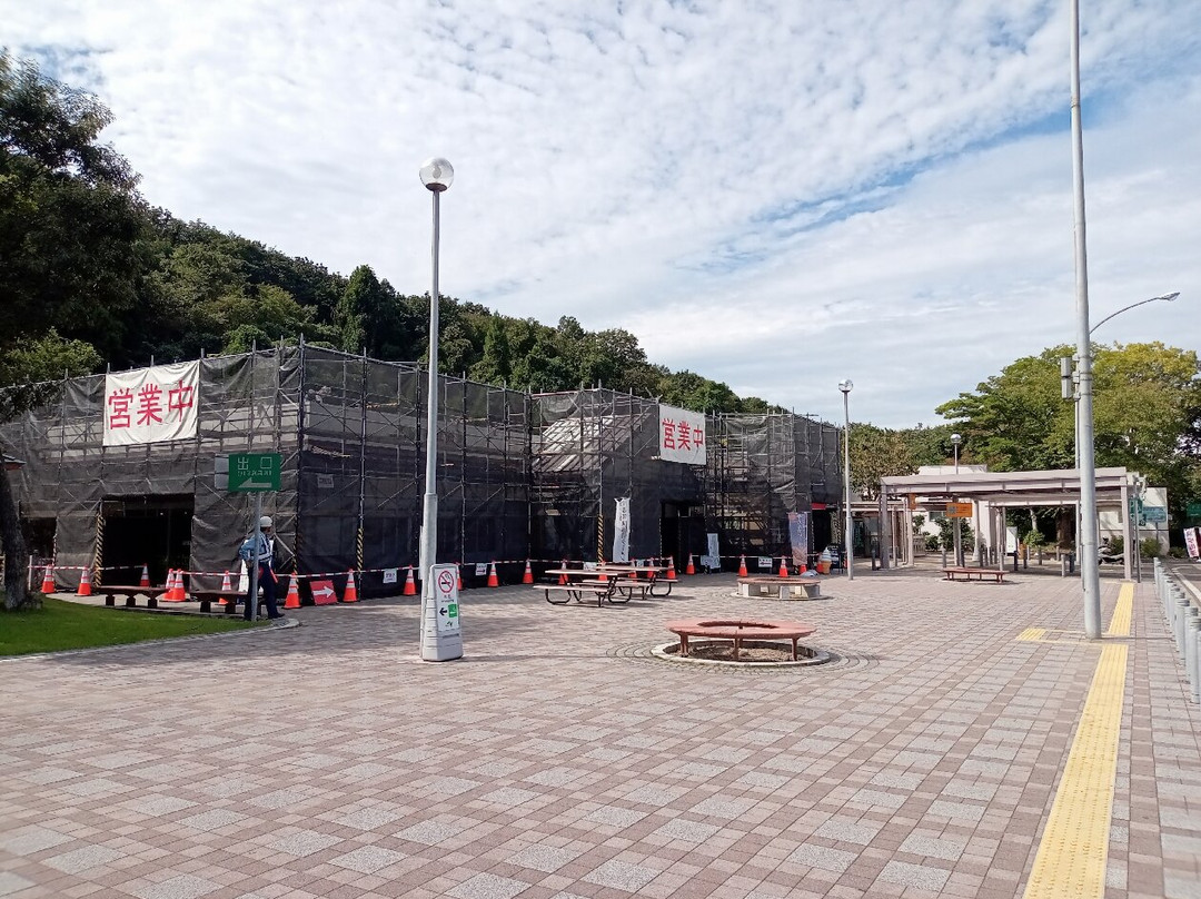 Nadachi Tanihama Service Area Inbound景点图片
